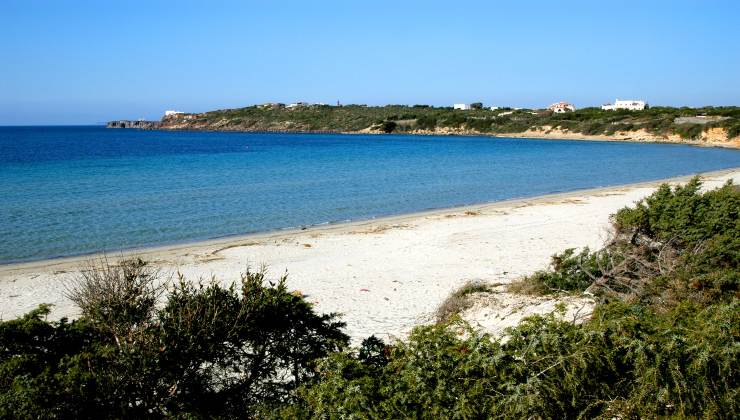 Avvistato su una spiaggia italiana