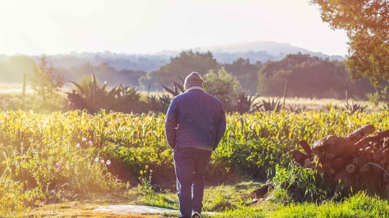 camminando in un campo trova un tesoro