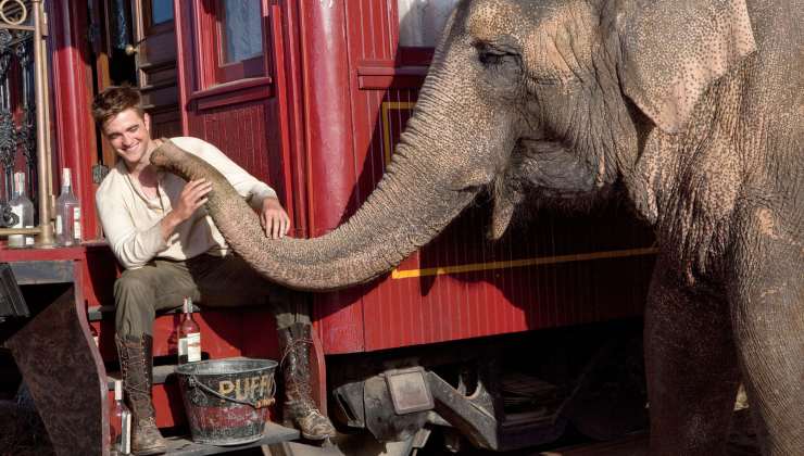 Una turista rimane sorpresa da quel che accade dopo essersi avvicinata ad un elefante