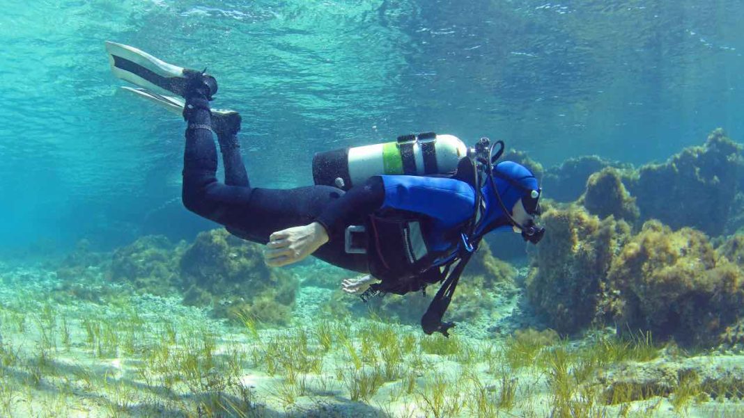 Dai fondali marini una scoperta incredibile su una nuova specie