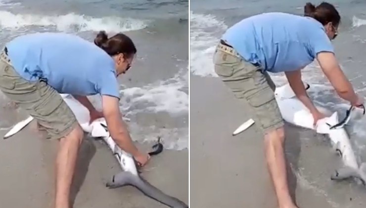 Su una spiaggia italiana un veterinario corre in soccorso di un animale marino