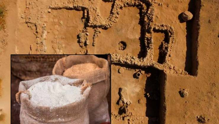 Scoperto 1 tesoro che risale a 3000 anni fa: farina antichissima