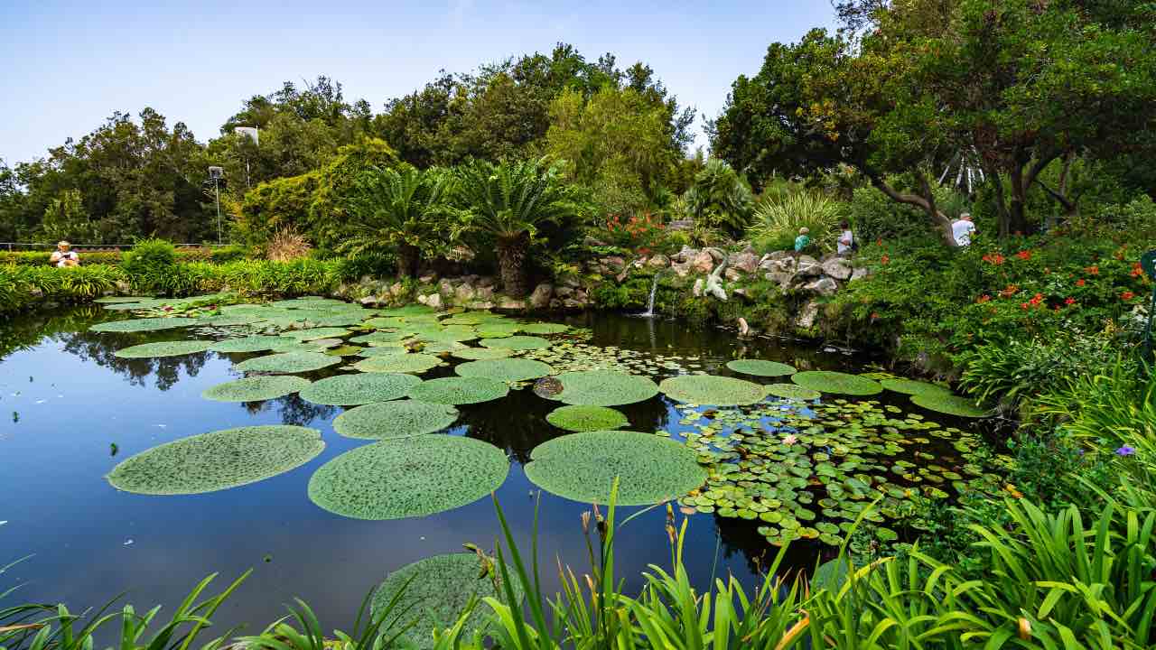 giardino di straordinaria bellezza