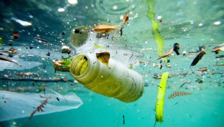 Il brutto ritrovamento fatto nell'oceano