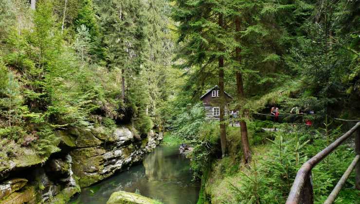 Parco Nazionale svizzero: tra flora e fauna