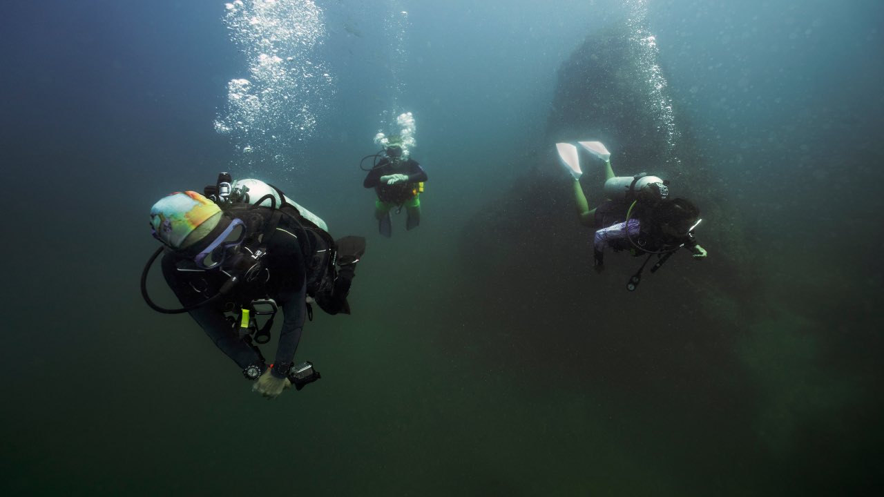 scoperti resti di un esemplare marino