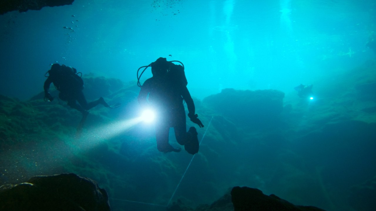 trovata nuova specie in mare