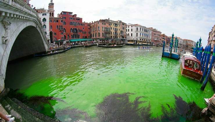 Venezia, il dettaglio che sbuca vicino al Ponte di Rialto 