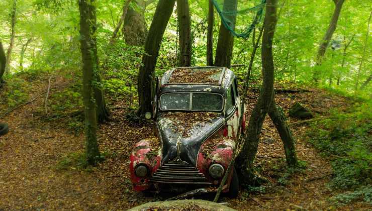 Auto abbandonata nel bosco