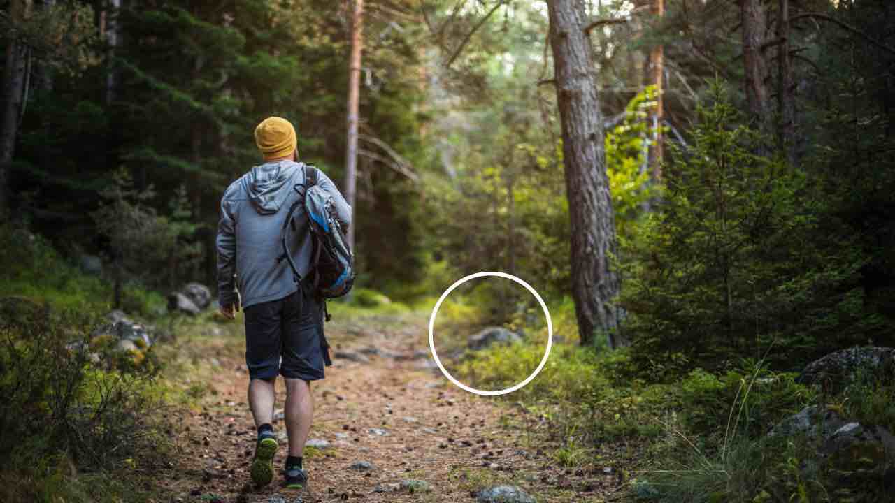Escursionista fa una scoperta