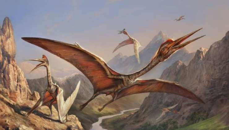 Gli pterosauri, che tipo di dinosauri erano