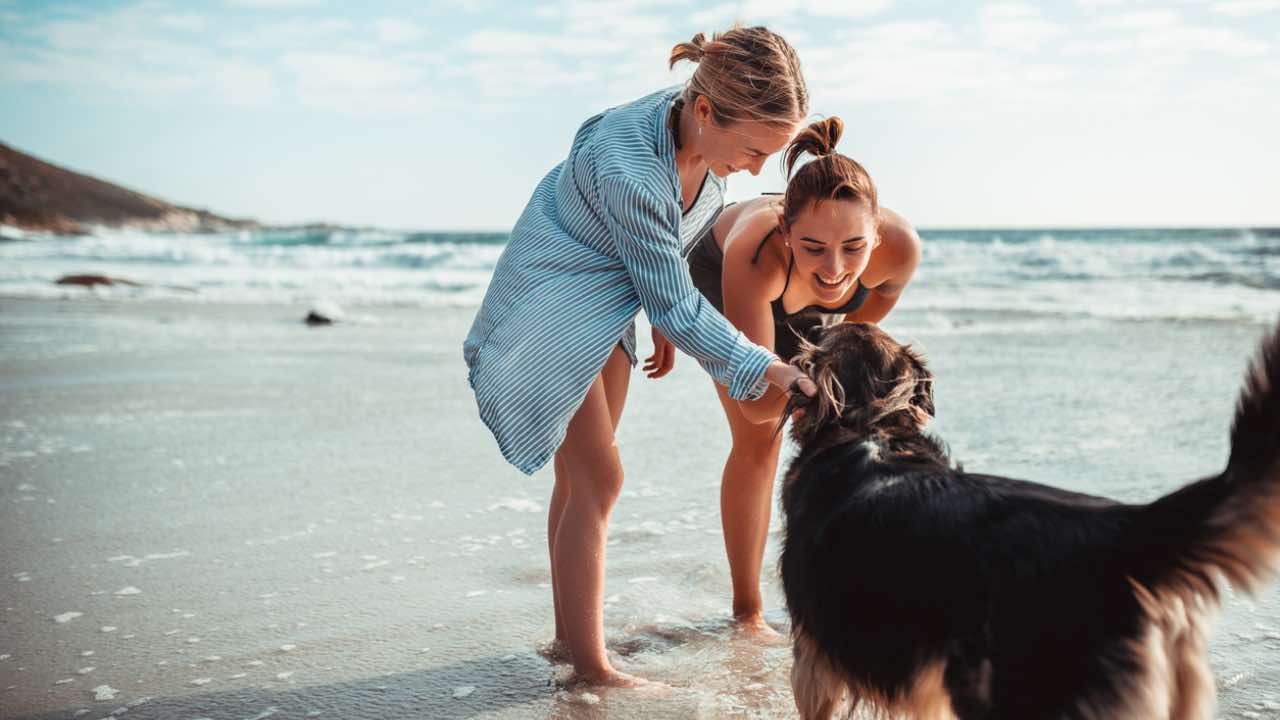 Le spiagge migliori per i cani