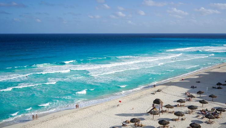 I turisti e i cittadini sono rimasti preoccupati avendola rivista dopo due anni sulle spiagge