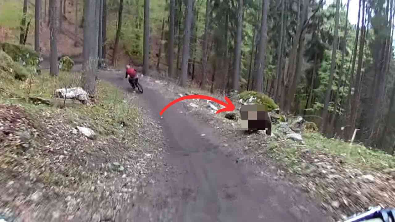 Ciclista scappa nel bosco