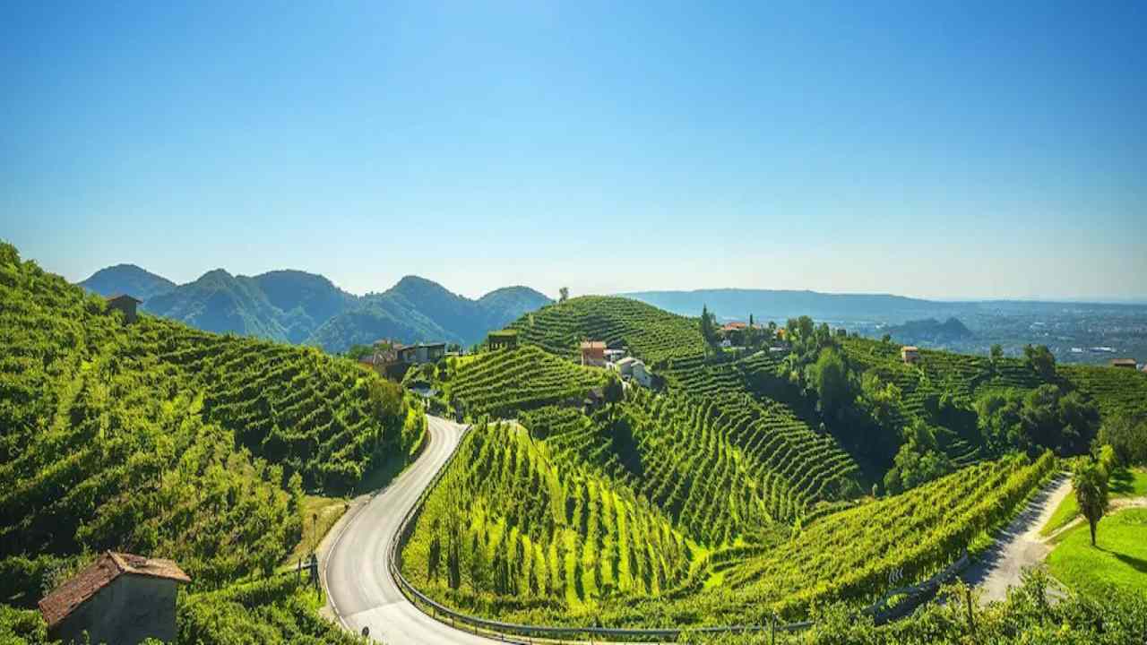 Colline del Prosecco nuovo cammino