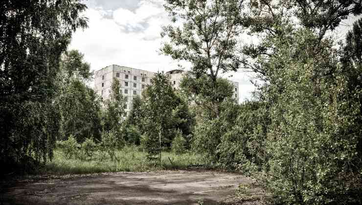 Foresta di Chernobyl