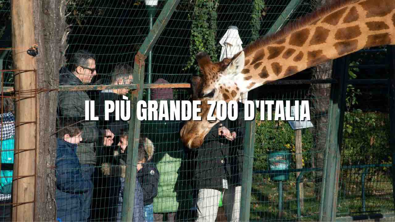 Il piu grande zoo in Italia