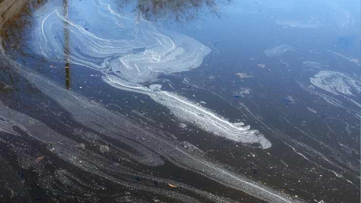 Mare italiano fortemente inquinato