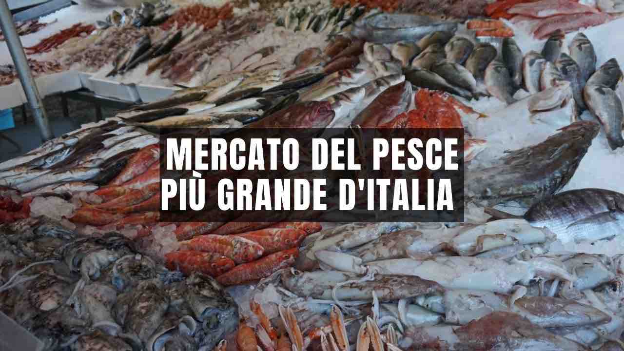 Mercato del pesce piu grande