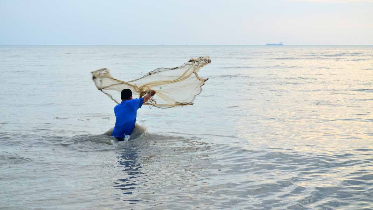 Pescatore cattura esemplare