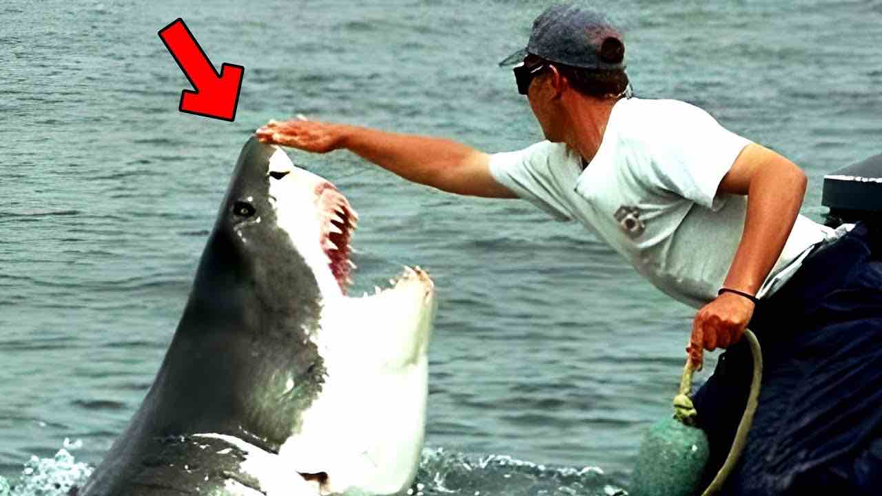 Pescatore con lo squalo bianco