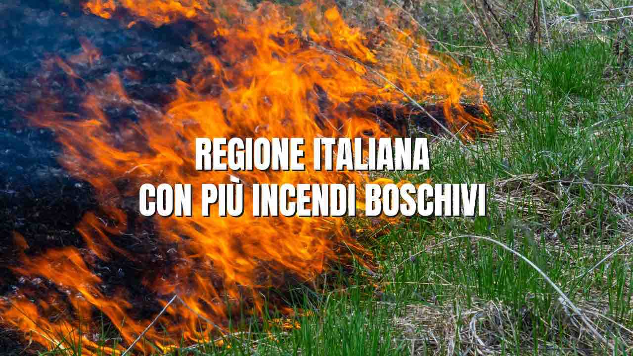 Regione italiana con piu incendi boschivi