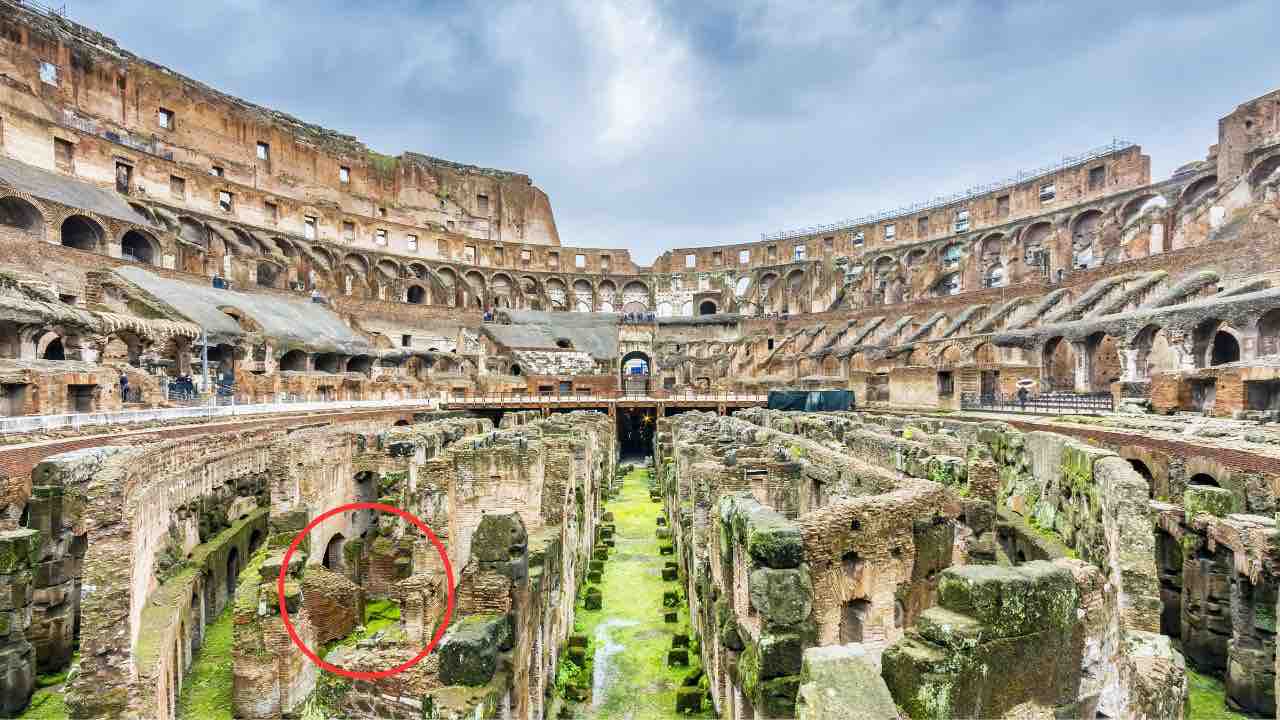 Sono nate nel Colosseo