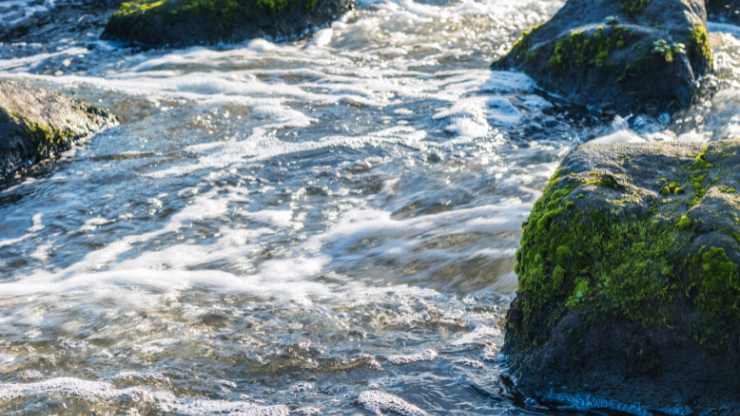 A man notices something strange in the River Trent