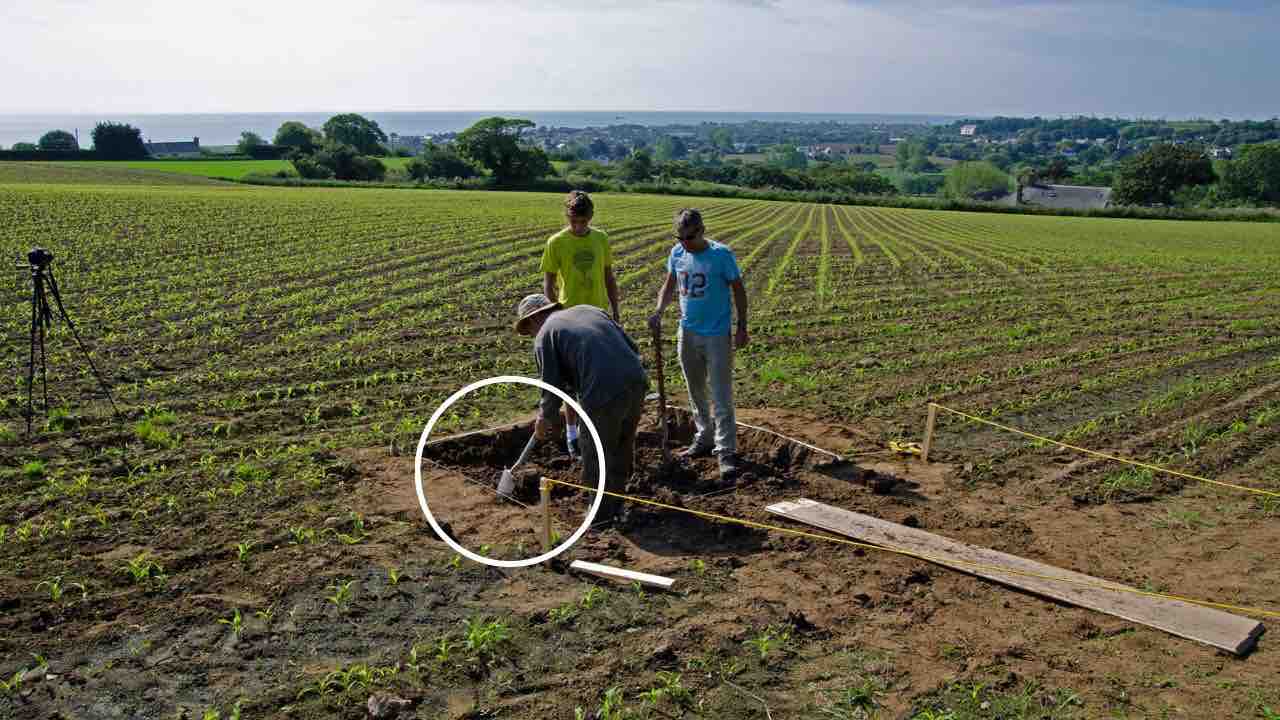 Uomo trova un tesoro