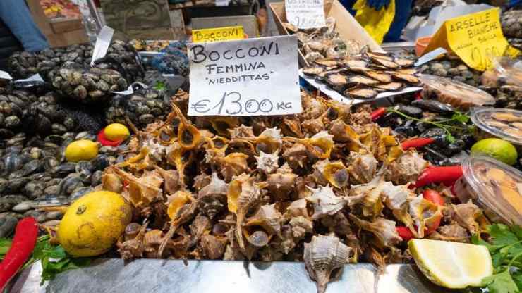 il-mercato-del-pesce-più-grande-ditalia