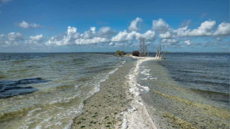 Apparsa all’improvviso su una spiaggia di Titusville