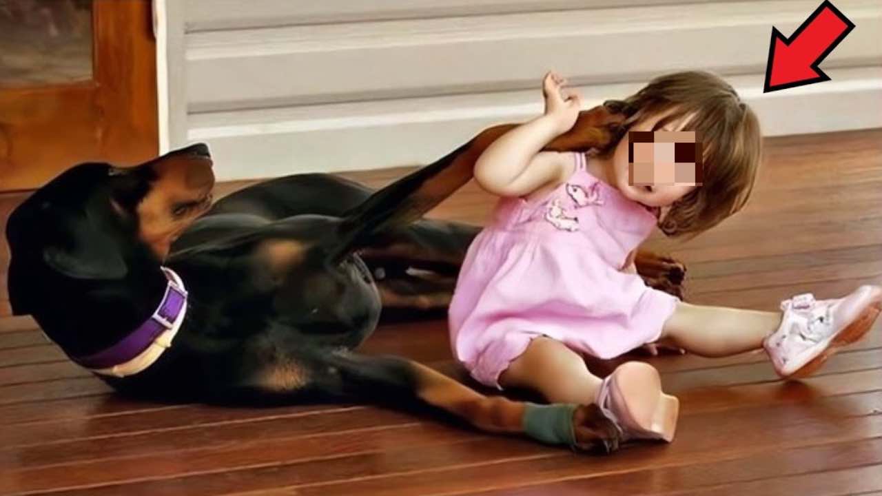 Bambina con doberman