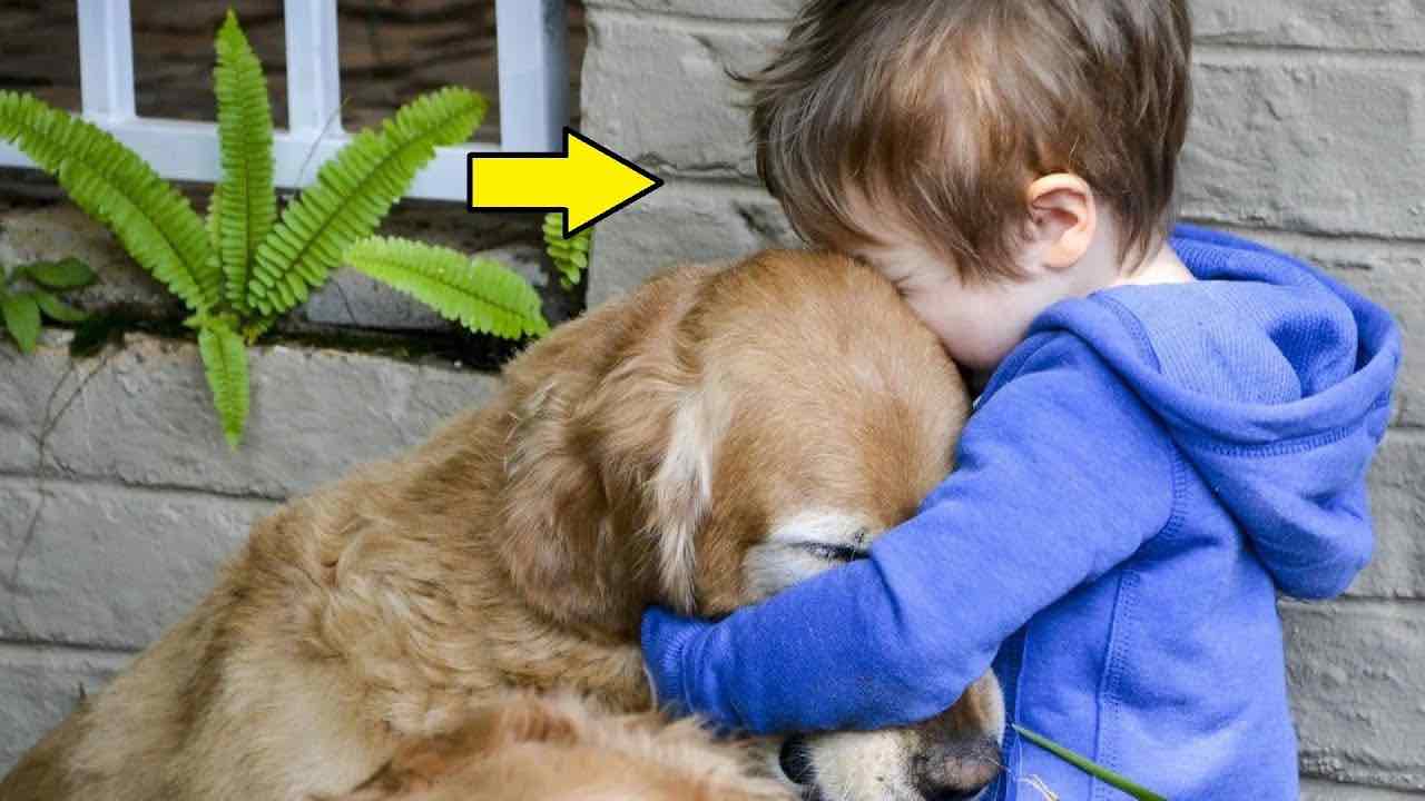 Bambino abbraccia il cane