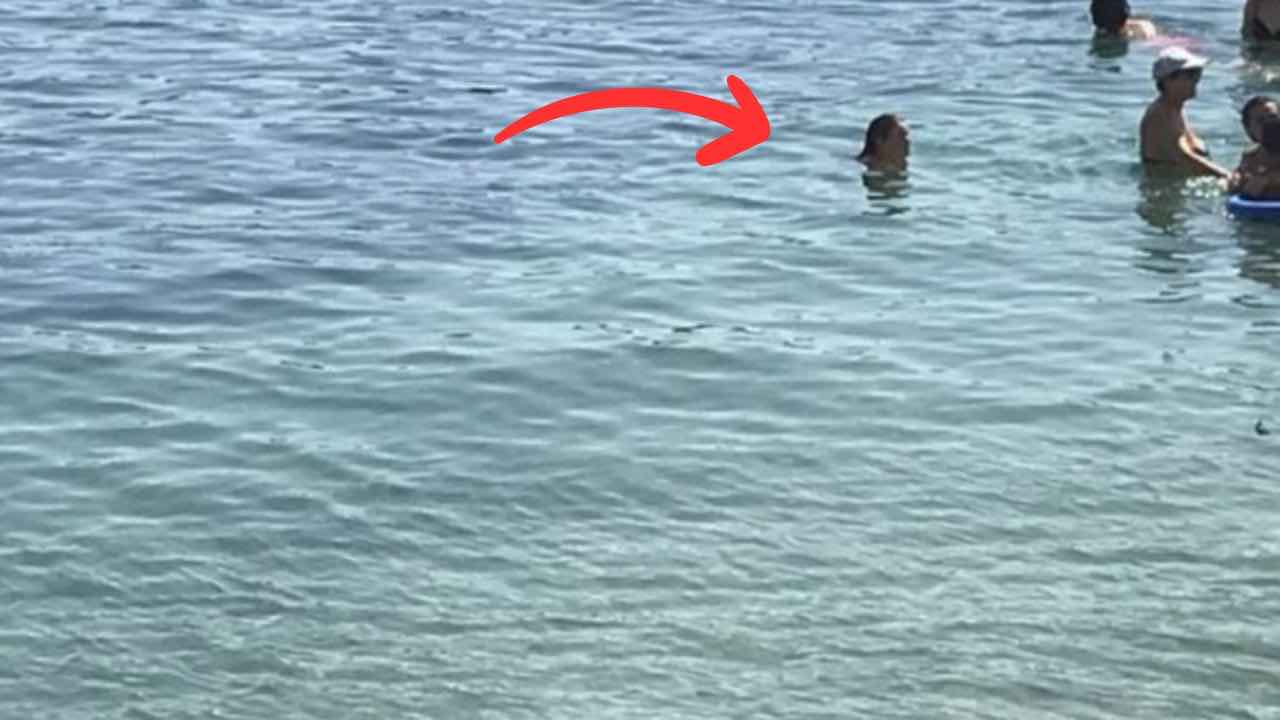 Donna viene attaccata in mare