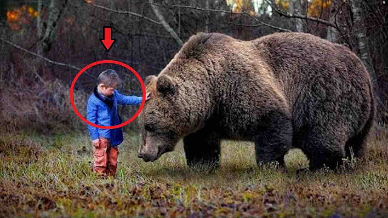 Il bambino con l orso