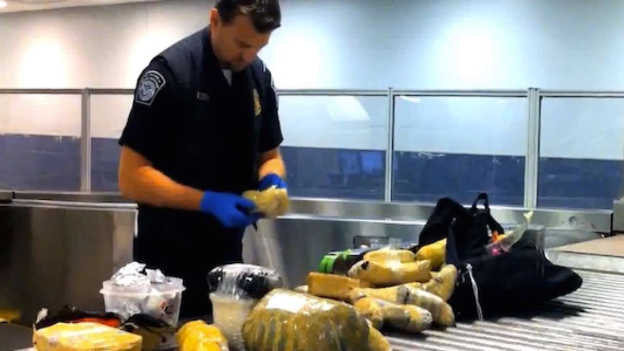 Il cibo sequestrato in aeroporto