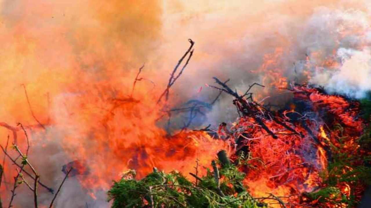 Incendi alle Hawaii, oltre 400 i morti