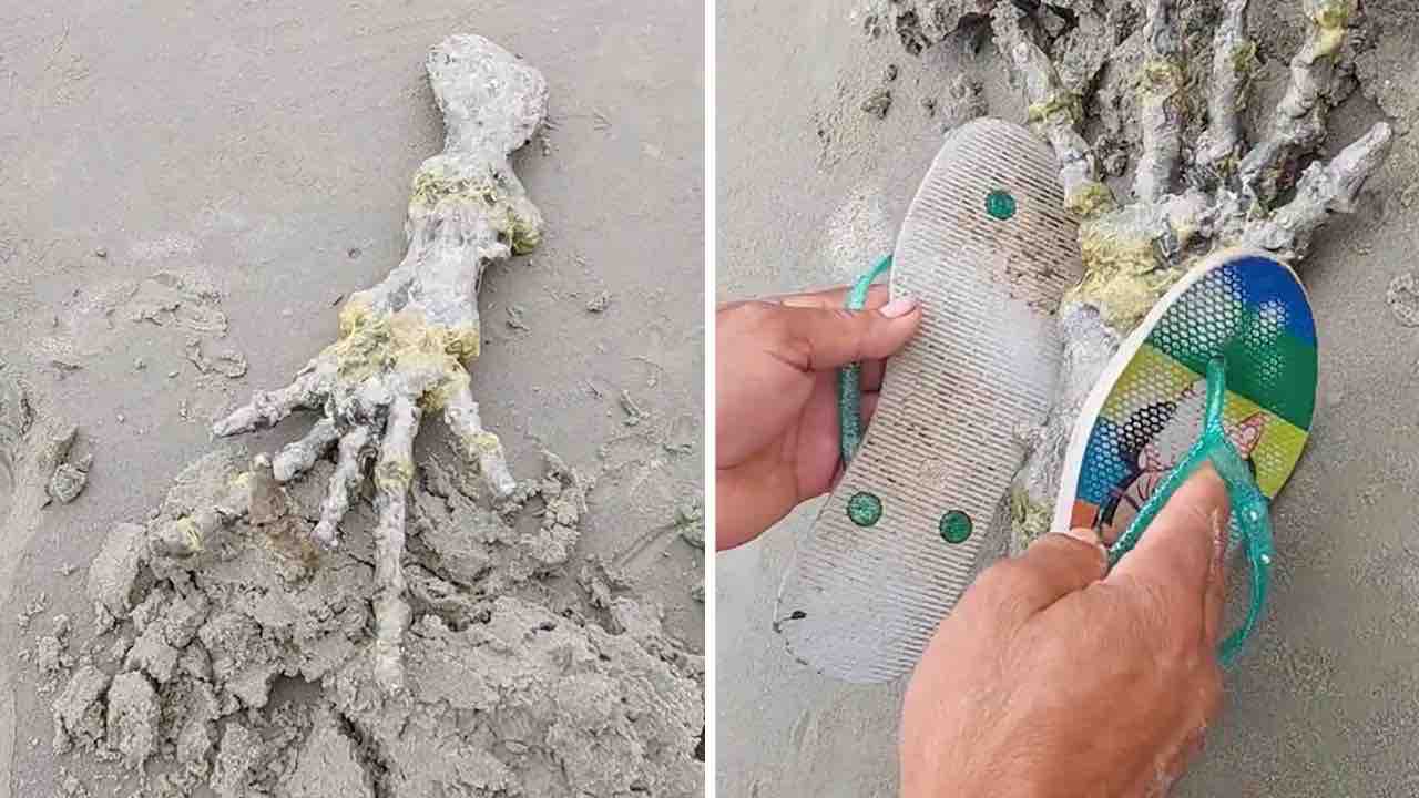 Mano scheletrica in spiaggia