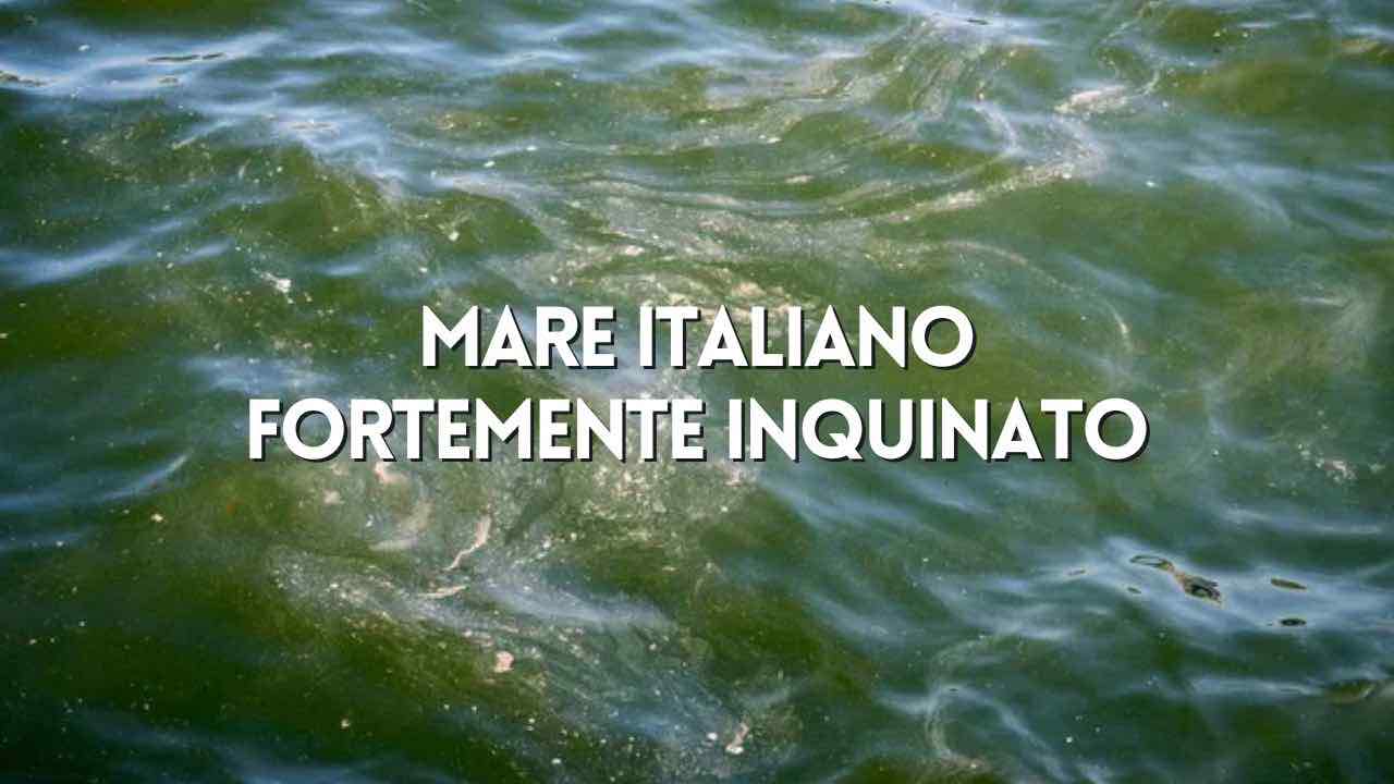 Mare italiano inquinato