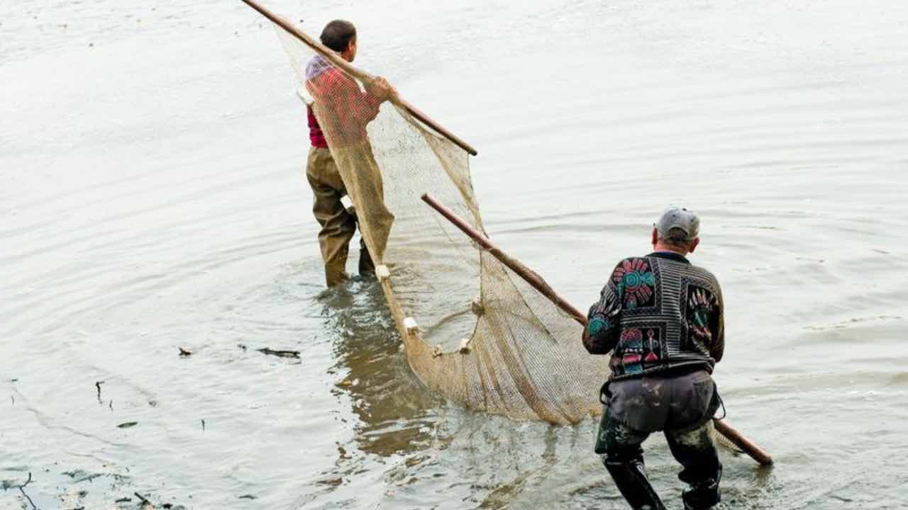 Pescatori tirano su la rete