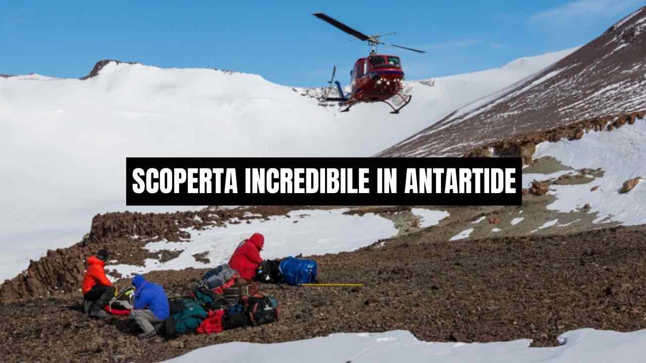 Scoperta in Antartide, non si è mai vista prima: sconosciuta anche agli studiosi 