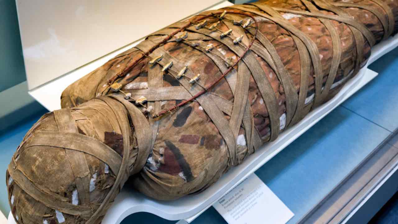 Scoperta mummie in Egitto