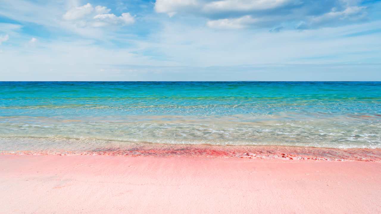 Spiaggia rosa