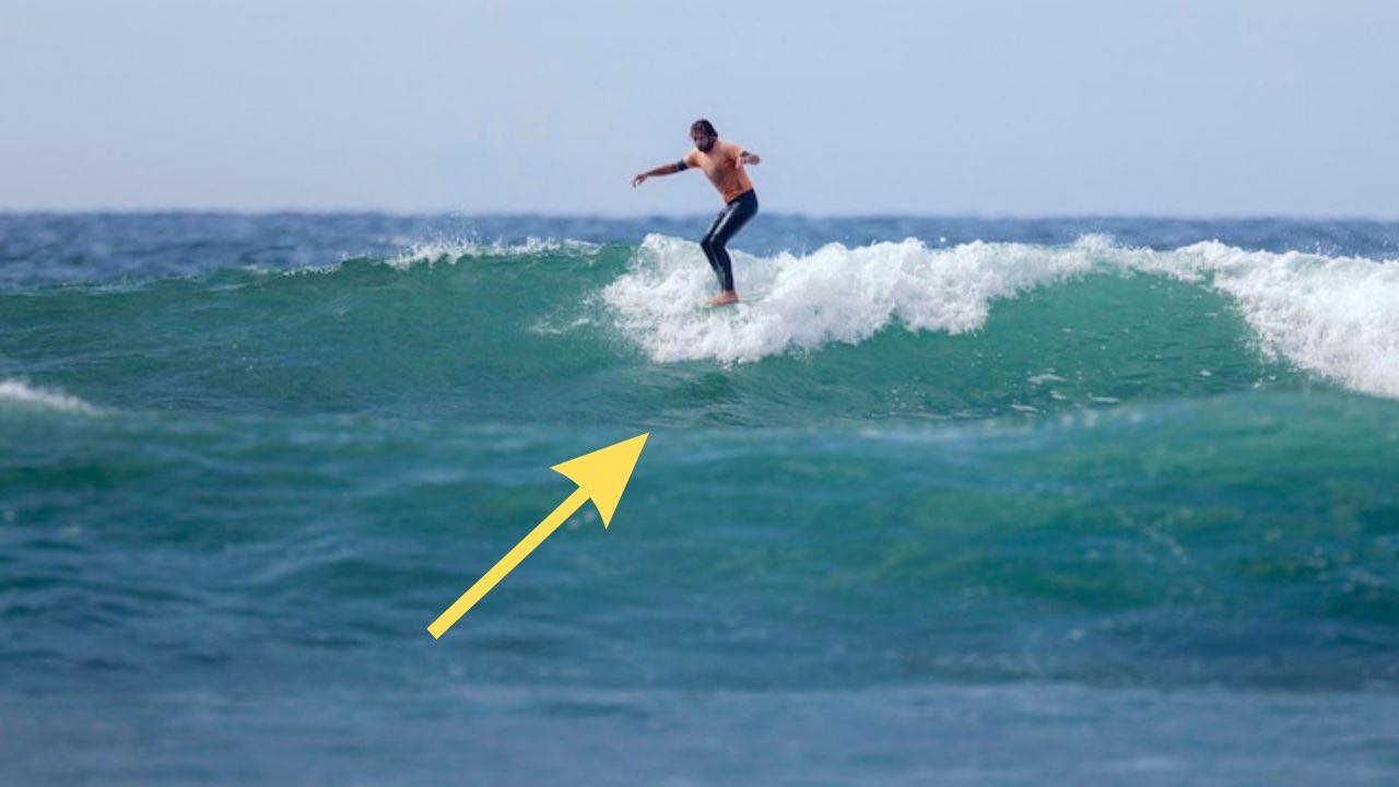 Surfista viene attaccato