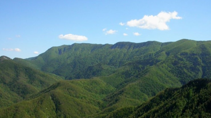 parco-nazionale-foreste-casentinesi