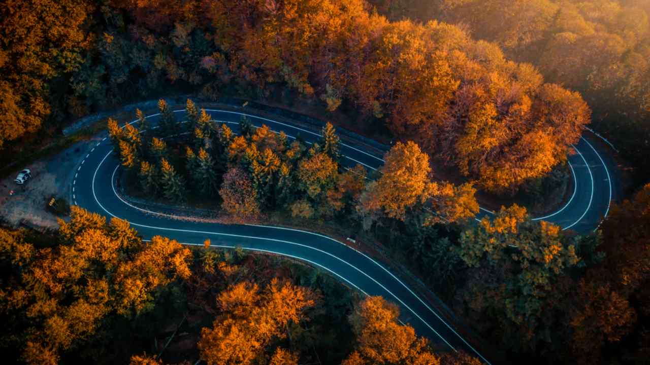 La strada che attraversa il foliage
