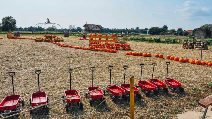 campo-delle-zucche-in-brianza