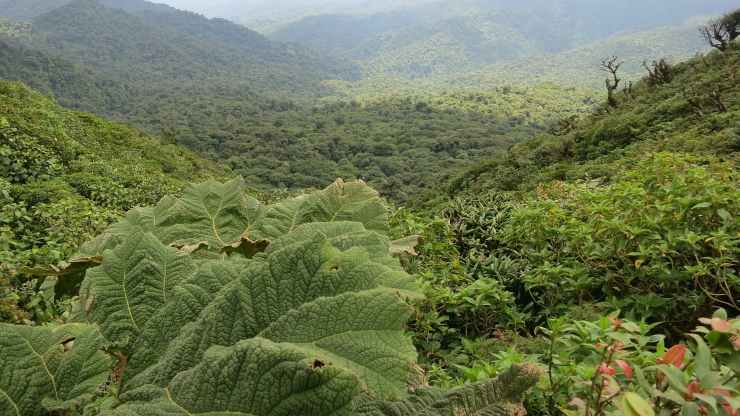 costa-rica