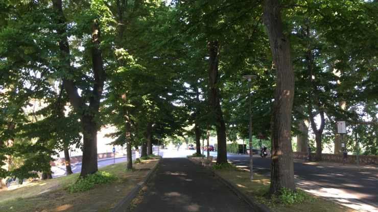 viale-delle-piagge