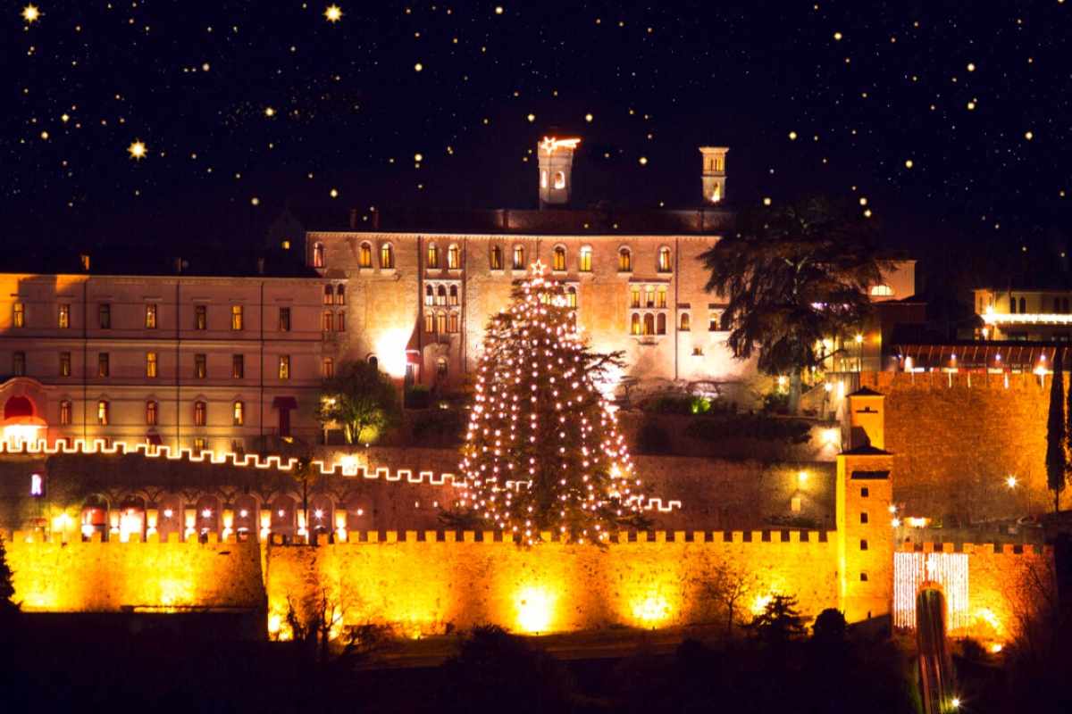 Albero di Natale più alto d'Italia credits Treviso Today